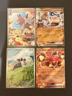 ルガルガンAR/ホップのウールーARセット他2枚　 【バトルパートナーズ】