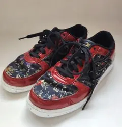 ドラゴンベアード