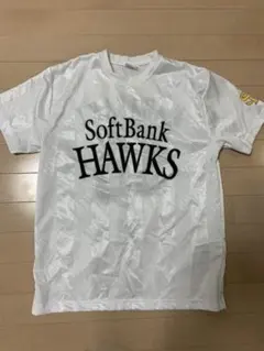 Item thumbnail for item 56361f05-cdcb-4d77-8aea-23ceca603358