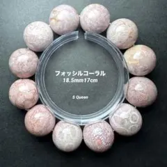 最高ランク フォッシルコーラル 全玉両面菊模様 希少化石 コーラルアガテ 最高ランク フォッシルコーラル 全玉両面菊模様 希少化石
