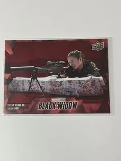 Item thumbnail for item 70cc0f50-904a-4eec-8d9b-5303655b4645