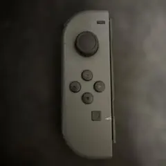 ジョイコン 動作確認済み　グレー　L