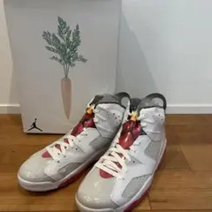 希少 新品 NIKE AIR JORDAN 6 RETRO サイズ27.5㎝