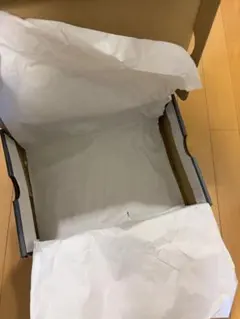 Nike Air Max 95 Big Bubble スニーカー用箱