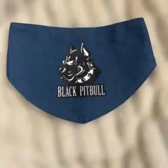 Item thumbnail for item d2820737-d66a-4a8e-8f60-4f6de5aaa2e8