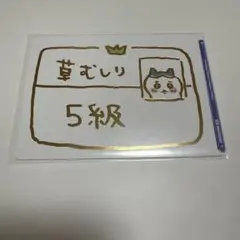 ヴァイスシュヴァルツブラウ ハチワレ BR 草むしり検定5級