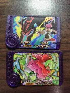 ポケモンフレンダ　ピック　ベストタッグ5弾　レックウザ　メガニウム　2枚セット