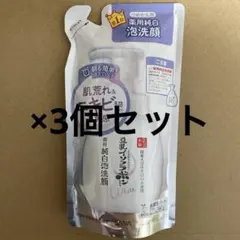 新品＊豆乳イソフラボン 薬用純白泡洗顔　つめかえ用×3のサムネイル