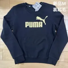 Item thumbnail for item 9550ada5-5883-47ef-833b-9b0be3376b93