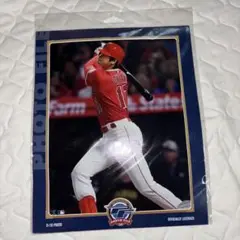 大谷翔平 公式ライセンス 8x10フォト