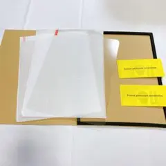 2枚入 iPad Pro 13 インチ 2024 第7世代 ガラスフィルム