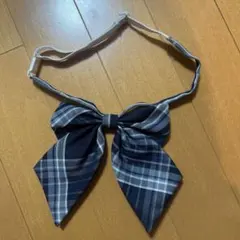 Item thumbnail for item 3463a59f-0971-4642-ad30-f7ca93fb1f0d