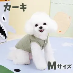 Item thumbnail for item 2e49544b-758b-4c4b-abb7-e434103c56a6