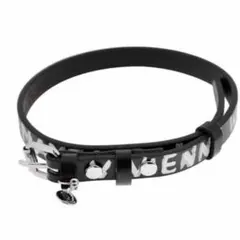 vienne Westwood チョーカー　ブレスレット