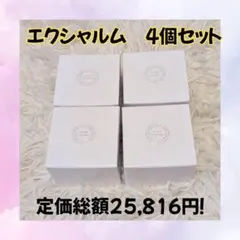 2025年最新】エクラシャルム の人気アイテム - メルカリ