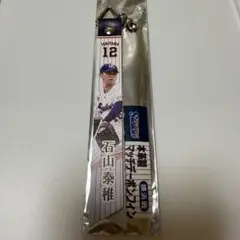 ヤクルトスワローズ 石山泰稚選手 ボンフィン