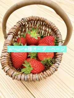 ฅ^•ω•^ฅ様オーダーページ