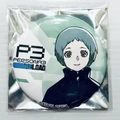 2025年最新】ヴィレヴァン ペルソナの人気アイテム - メルカリ