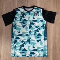 湘南国際マラソン Tシャツ13th.14th Lサイズのサムネイル