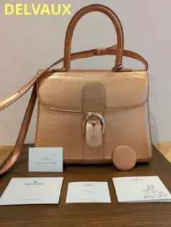 早い者勝【新品未使用】デルヴォー　ブリヨン MM ハンドバッグ　ショルダーバッグ 早い者勝【新品未使用】デルヴォー ブリヨン MM ハンドバッグ