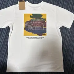 Item thumbnail for item ffe5160e-ee3e-4df8-a30a-3ddf05995e29