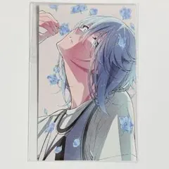 アイナナ 総集編 ビジュアルカード 環