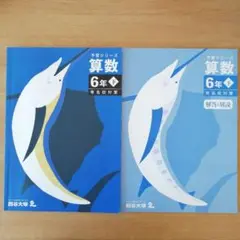 予習シリーズ 算数 6年下 有名校対策 四谷大塚
