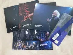 玉置浩二 ミュージシャン