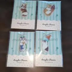 モフサンド　mofusand アクリルチャーム 　ファミマ　全4種　コンプリート