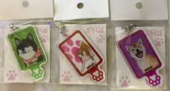 非接触 キーホルダー 触れない ポチしばくん 3個セット！