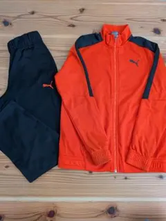 Item thumbnail for item 0e6a65de-577c-4ad5-bdbe-2e1cf61e6256