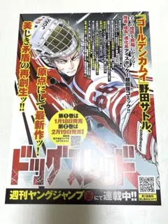 ドッグスレッド　フライヤー　チラシ