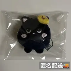 RIIZE WONBIN KEYRING ウォンビン キーホルダー