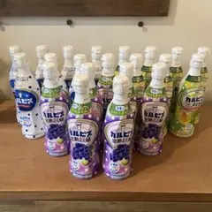 カルピス 希釈用 20本セット アソート - メルカリ