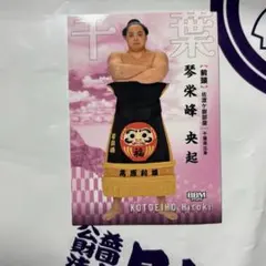 2026年最新】佐渡ヶ嶽部屋の人気アイテム - メルカリ