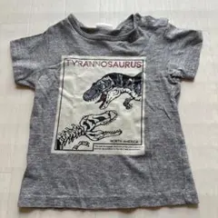 BREEZE ティラノサウルス Tシャツ 90