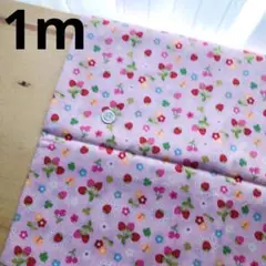 匿名配送／生地／いちご・フラワー・さくらんぼ／110cm✖️1m