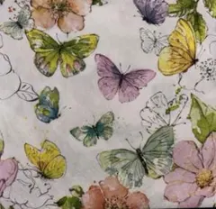 Item thumbnail for item 0868db38-6b05-4335-8c84-2806a458cc88