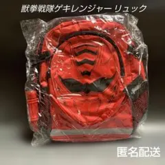 希少】 ポケモン ポケパーク バトルコースター烈空 キーホルダー
