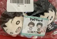 2026年最新】にとたん/ハイキュー！！/おおきいぬいぐるみ/岩泉の人気