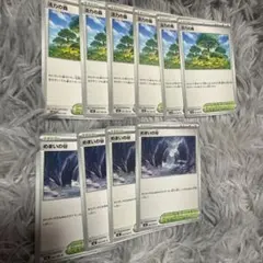 ポケモンノーマル　活力の森セット