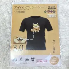 アイロンプリントシート A4 金色 5枚 ラメ シール 転写紙 ゴールド 布用