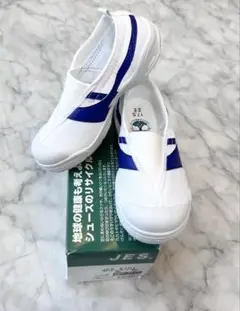 上履き スクールシューズ JES 2101 甲ゴムタイプ 黄 青 アキレス