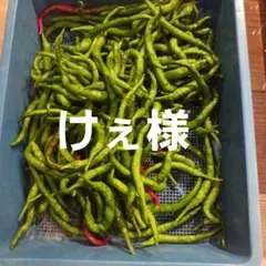 アジメコショウ約200gのサムネイル