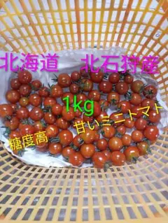 新鮮 北海道北石狩産 スイートミディレッド 1kgのサムネイル