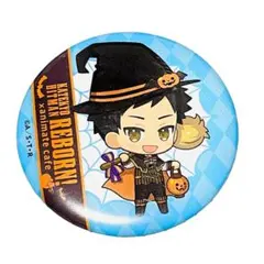 即購入OK 家庭教師ヒットマン REBORN! 山本武 缶バッジ