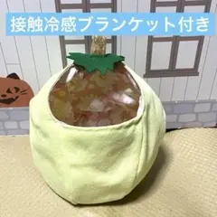 モモンガ　果物ポーチ　夏用　接触冷感ブランケット付き モモンガ 果物ポーチ 夏用 接触冷感ブランケット付き - メルカリ