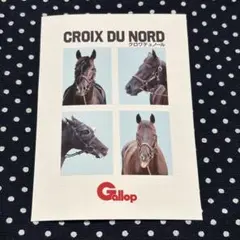 Gallop 名馬証明写真風コンビニプリント クロワデュノール③