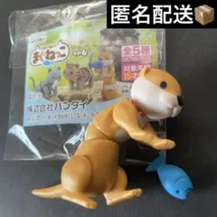 まぐねっこ その6 コツメカワウソ/ミニブック付