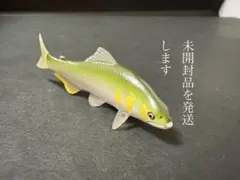 日本のいきもの03 株式会社いきもん　 アユ